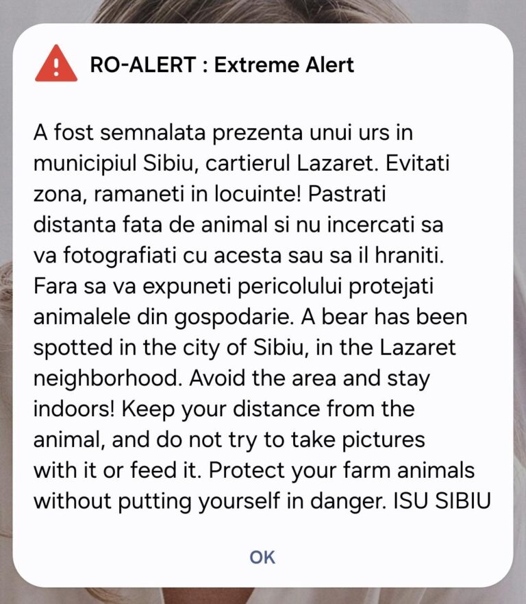 ULTIMA ORĂ: Un URS a ajuns în Sibiu. A fost transmis mesaj RO-ALERT