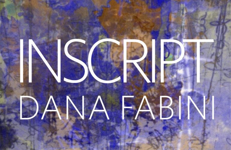 Expoziția „INSCRIPT”, a artistei Dana Fabini, se deschide astăzi, la Palatul Brukenthal din Sibiu