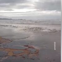 Alertă la Marea Neagră: Valul de păcură care a lovit litoralul Bulgariei ar putea ajunge și pe plajele din România