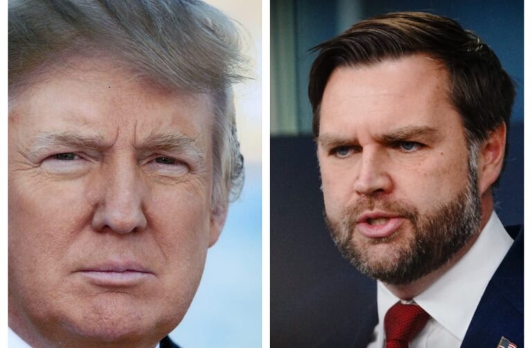 Halucinație AI: Un motor de căutare a susținut în mod fals că Donald Trump și JD Vance au murit de rabie