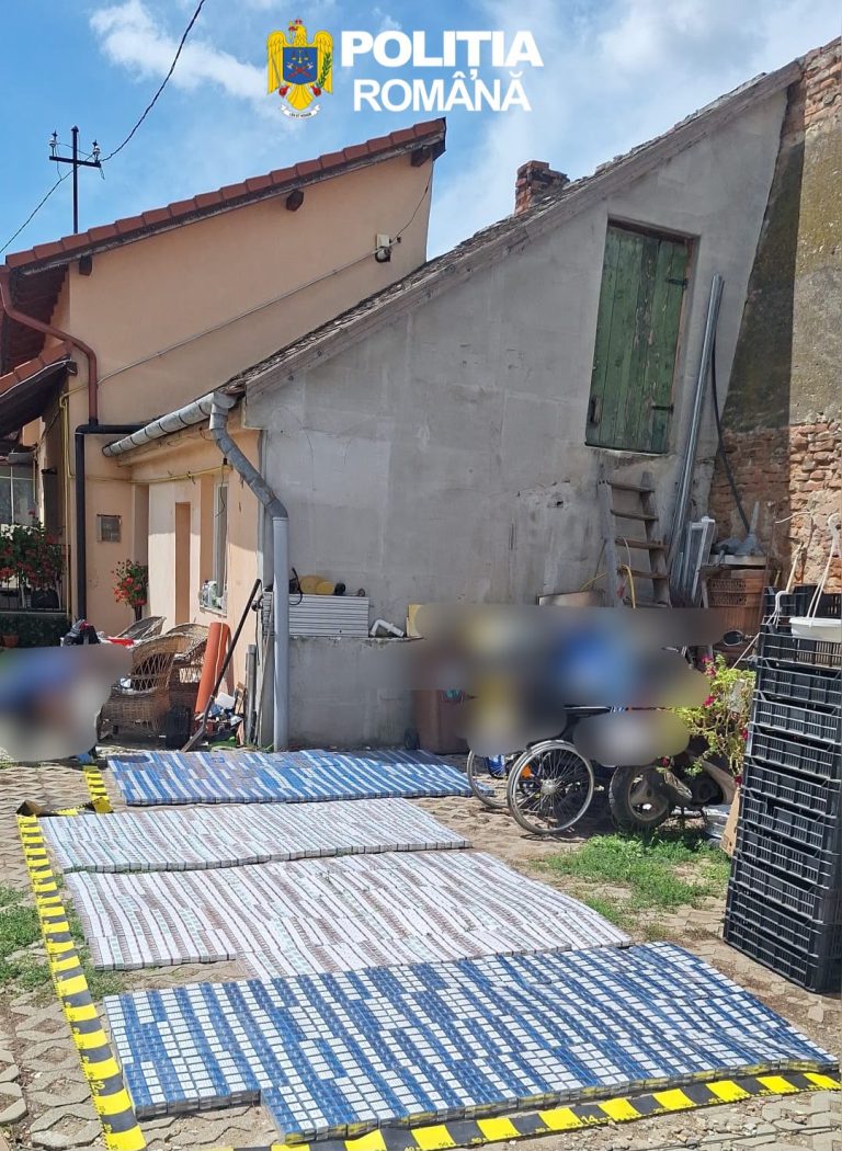 FOTO: Captură URIAȘĂ de țigări ilegale! Polițiștii sibieni au confiscat marfă de aproape 100.000 de lei