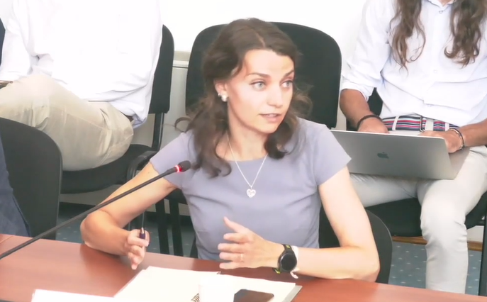 Diana Mureșan, în ședința Consiliului Local: „Noi acum, prin PUZCP acesta, dăm o derogare pentru Hegel nr. 2. Ce înseamnă asta pe viitor?”
