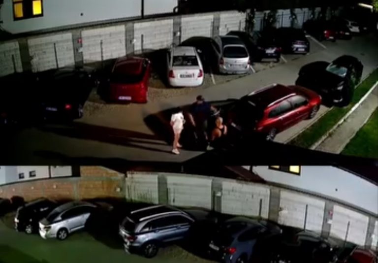 VIDEO: Momente de groază în Șelimbăr! Un urs a apărut la câțiva metri de trei tineri care stăteau la povești