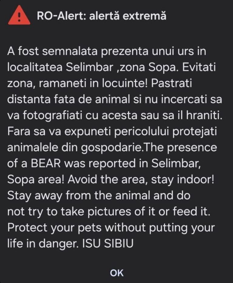ALERTĂ: URS semnalat în zona Șopa din Șelimbăr