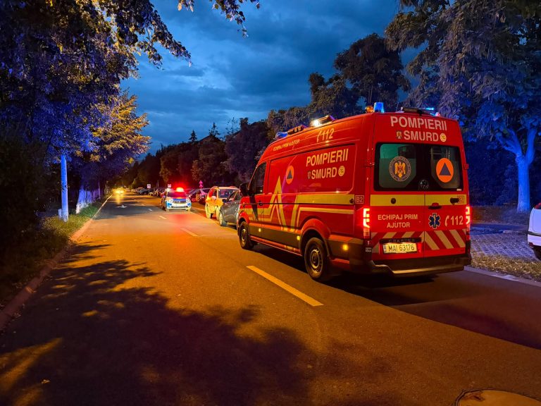 FOTO/ALERTĂ: Un URS a fost observat pe Bulevardul Milea din Sibiu/UPDATE: Ursul a fost tranchilizat