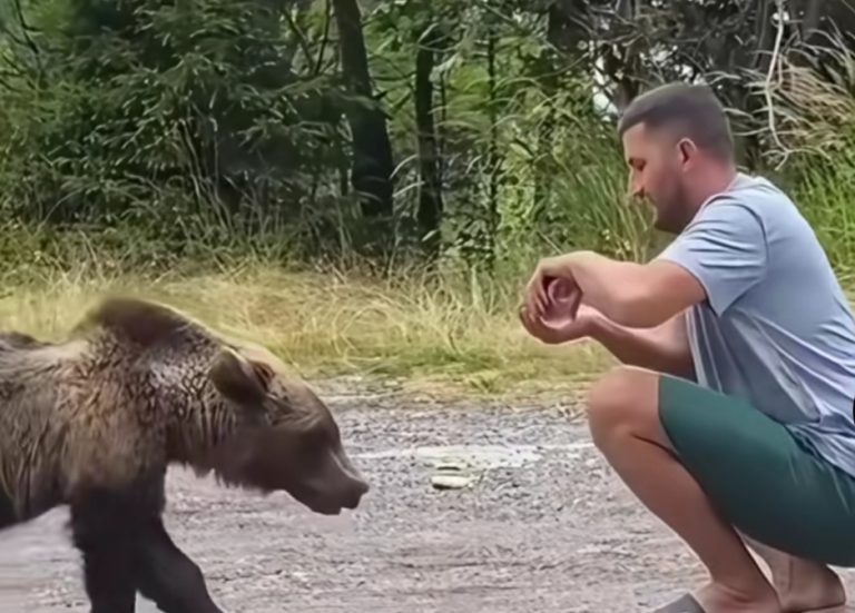 VIDEO: PROSTIA dusă la nivelul următor. Ce face un turist în fața unui URS este de neimaginat