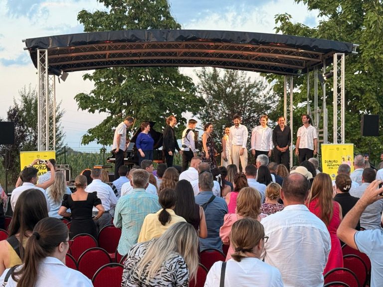 Muzică în lavandă