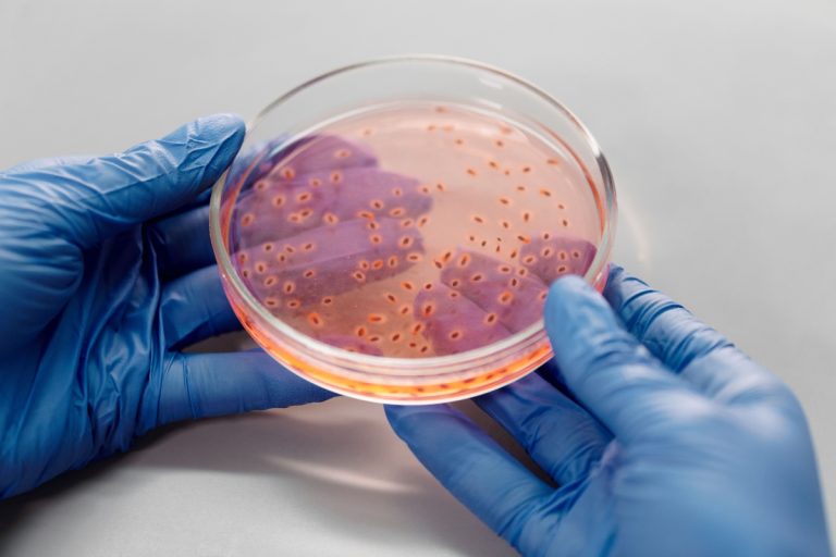 Revoluție în alimentație? Cercetătorii dezvoltă bacterii care transformă dioxidul de carbon în hrană