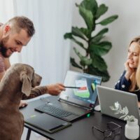 Românii, lideri în Europa la interesul pentru locurile de muncă pet-friendly. 65% și-ar schimba jobul pentru a veni cu animalul de companie la birou