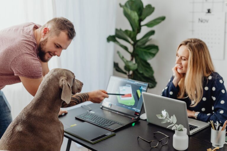 Românii, lideri în Europa la interesul pentru locurile de muncă pet-friendly. 65% și-ar schimba jobul pentru a veni cu animalul de companie la birou