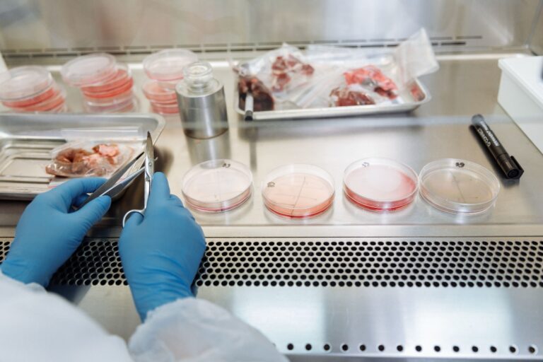 Carnea cultivată în laborator ar putea fi interzisă în România. Proiect de lege cu amenzi de până la 150.000 de lei