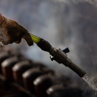 Bacteriile care „capturează” uraniul. Descoperirea dintr-o fostă mină ar putea revoluționa decontaminarea apei radioactive