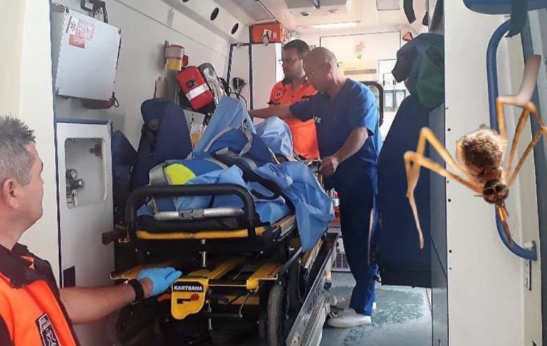 Virusul West Nile face prima victimă. Conf. dr. Tudor Ciuhodaru spune cum recunoști simptomele și cum te protejezi de înțepăturile de țânțari