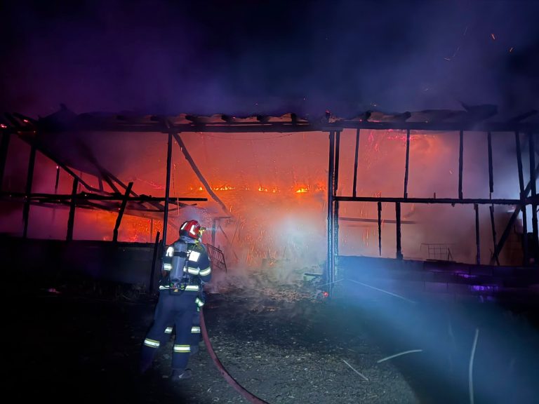 FOTO – MÂNĂ CRIMINALĂ în noapte: animale arse de vii într-un incendiu provocat la Târnava