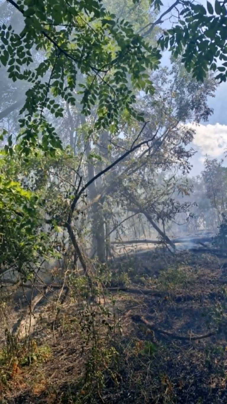 Incendiu între Roșia și Cornățel