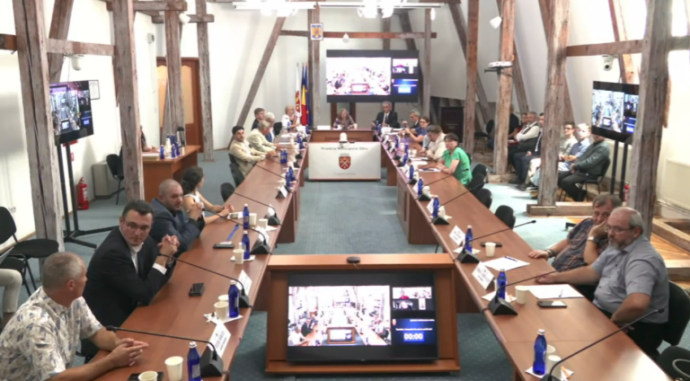 Bulevardul Vasile Milea nu îi dă întâietate Reginei Maria. Consilierii locali au respins propunerea de schimbare a denumirii străzii