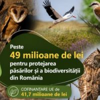 Ministerul Mediului alocă peste 49 de milioane de lei pentru protejarea păsărilor și biodiversității din România