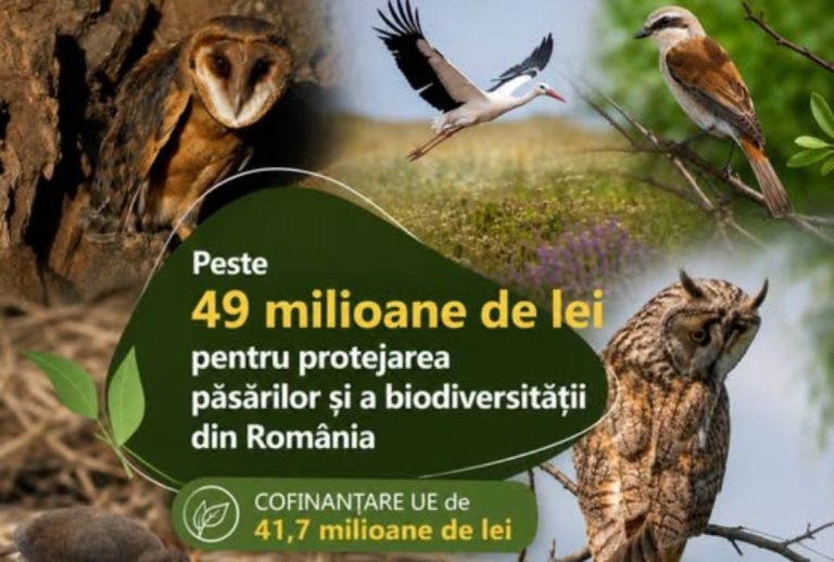 Ministerul Mediului alocă peste 49 de milioane de lei pentru protejarea păsărilor și biodiversității din România