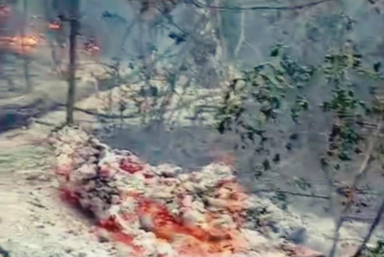 Incendiu în pădurea din Tulcea, lângă Plauru: o dronă ar fi provocat izbucnirea focului