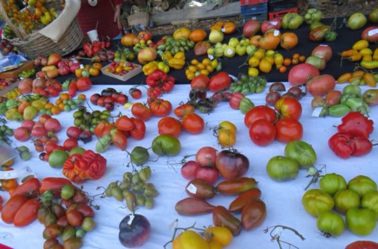 Festivalul tomatelor și al biodiversității horticole, la Muzeul ASTRA din Sibiu