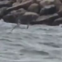Alertă la Costinești: Obiect suspect, posibilă dronă, observat în Marea Neagră, aproape de mal