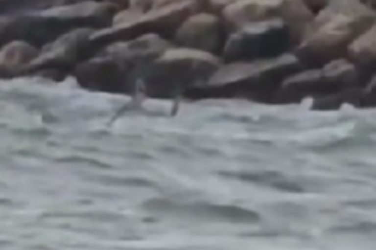 Alertă la Costinești: Obiect suspect, posibilă dronă, observat în Marea Neagră, aproape de mal