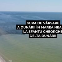 Apa potabilă, în pericol? Marea Neagră pătrunde până la 25 de kilometri în Delta Dunării. Debitul scăzut al fluviului crește și riscul pentru ecosisteme