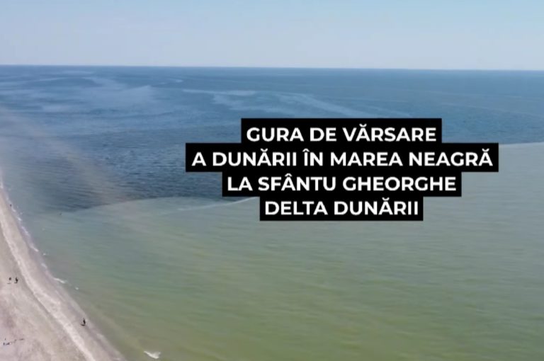 Apa potabilă, în pericol? Marea Neagră pătrunde până la 25 de kilometri în Delta Dunării. Debitul scăzut al fluviului crește și riscul pentru ecosisteme