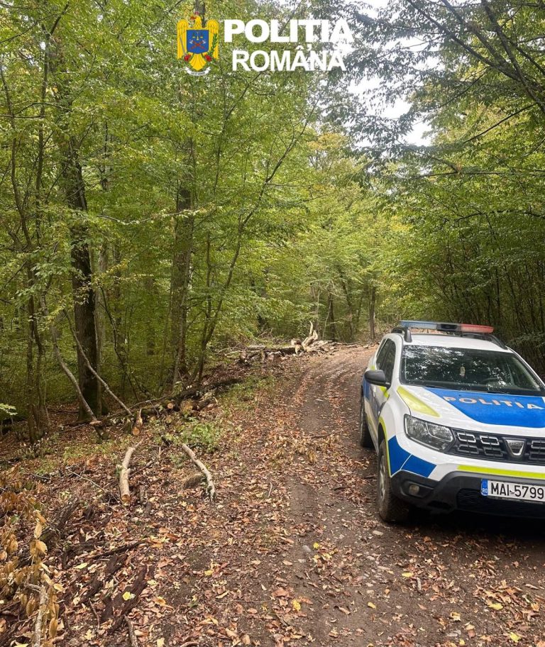 FOTO: Pădure JEFUITĂ la Roșia! Percheziții în forță în județul Sibiu
