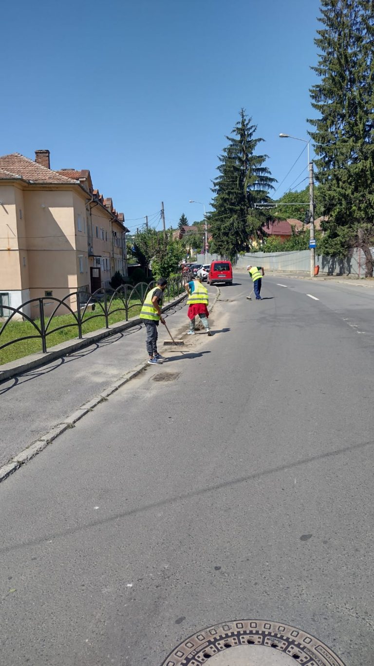 FOTO – Curățenie de toamnă în Mediaș: calendarul pe care trebuie să-l respecte locuitorii