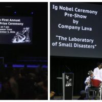 Premiile Ig Nobel 2026: chiloți îngropați, șerpi veninoși și pisoare anti-stropire, premiate la Zürich