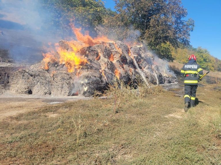 ULTIMA ORĂ/VIDEO/FOTO: Incendiu de proporții la Șeica Mare. Pompierii au salvat o casă și anexele