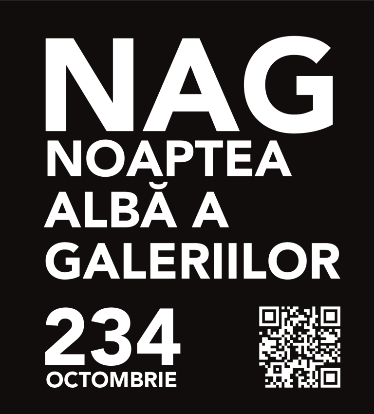 Sibiul își deschide spațiile pentru arta contemporană. 11 ediții de Noaptea Albă a Galeriilor