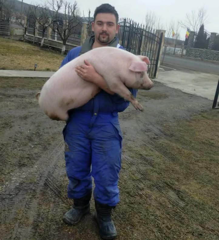 VIDEO: VICEPRIMAR filmat căzut și târându-se pe marginea șoselei. ȘOC într-o administrație locală