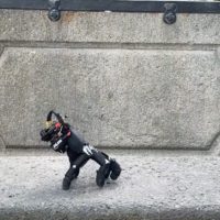 VIDEO - Mâna robotică inspirată de filmul „Familia Addams”, create de cercetătorii din Zurich - Ea poate merge singură și muta obiecte