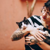 Pot pisicile să-și dea seama când suntem bolnavi? Cum își dau seama când ceva nu este în regulă cu noi