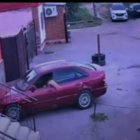 Pisică la volan, în Kazahstan: animalul a pus o mașină în mișcare și a provocat un accident