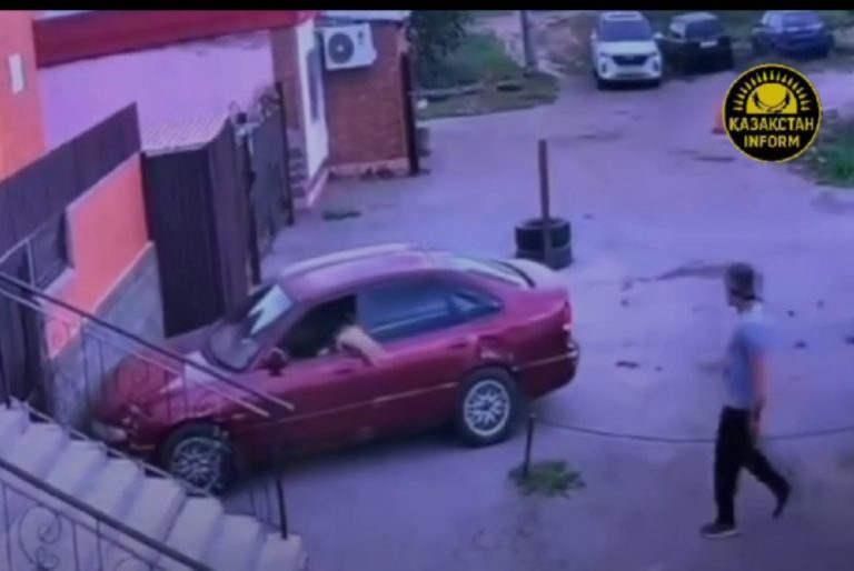 Pisică la volan, în Kazahstan: animalul a pus o mașină în mișcare și a provocat un accident