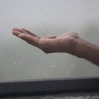 De ce miroase ploaia? Misterul mirosului de pământ ud, explicat
