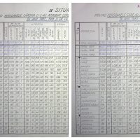 Emigrarea din România comunistă: mii de oameni au fugit în Germania înainte de Revoluția din 1989 – Sibiul, epicentrul birocratic al fenomenului