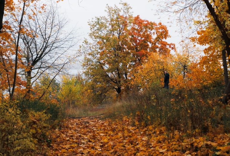 Transilvania, în topul celor mai spectaculoase destinații de toamnă din Europa. Peisajele care rivalizează cu cele din America de Nord