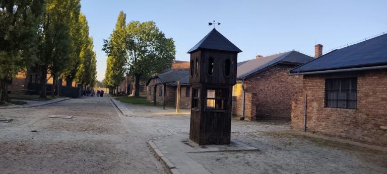 O zi despre ceea ce nu trebuie să uităm: elevii Școlii „Radu Selejan”, de la Auschwitz la Cracovia