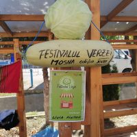 FOTO: Moșna, capitala verzei și a sarmalelor pentru un weekend! Ce s-a întâmplat la ediția a XVIII-a