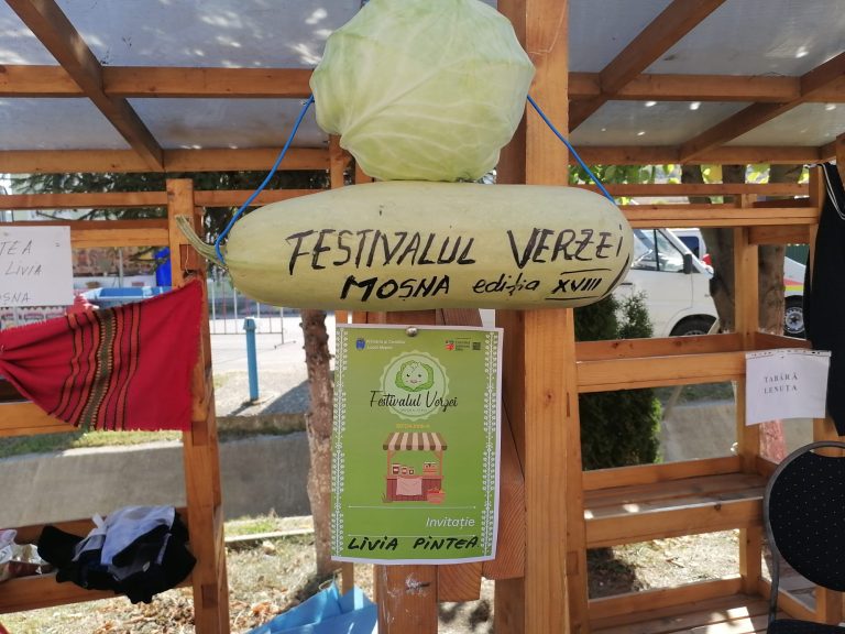 FOTO: Moșna, capitala verzei și a sarmalelor pentru un weekend! Ce s-a întâmplat la ediția a XVIII-a