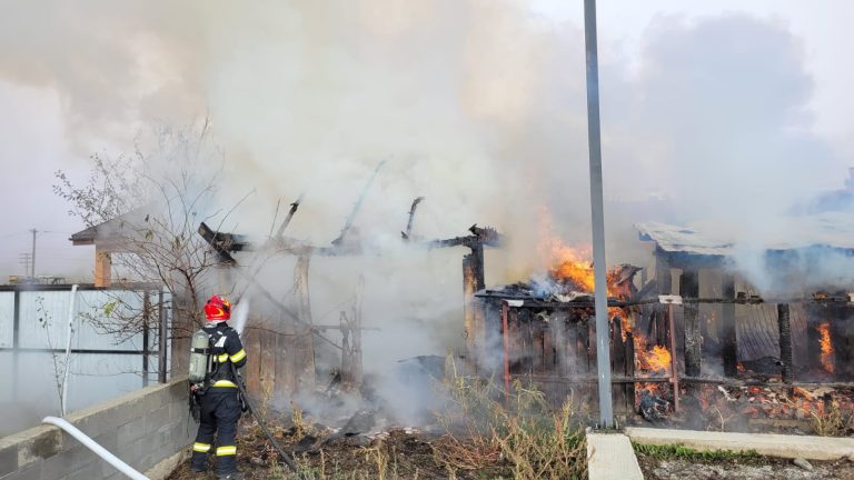 FOTO: Incendiu devastator în județul Sibiu! 36 de păsări și un câine au murit, iar flăcările au amenințat o casă