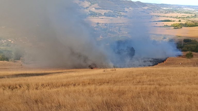 FOTO: Incendiu de proporții la Copșa Mică! 10 hectare de vegetație au ars