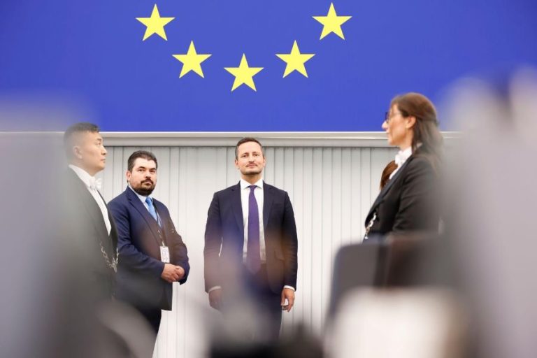 Nicu Ștefănuță, ales copreședinte al grupului Verzilor din Parlamentul European