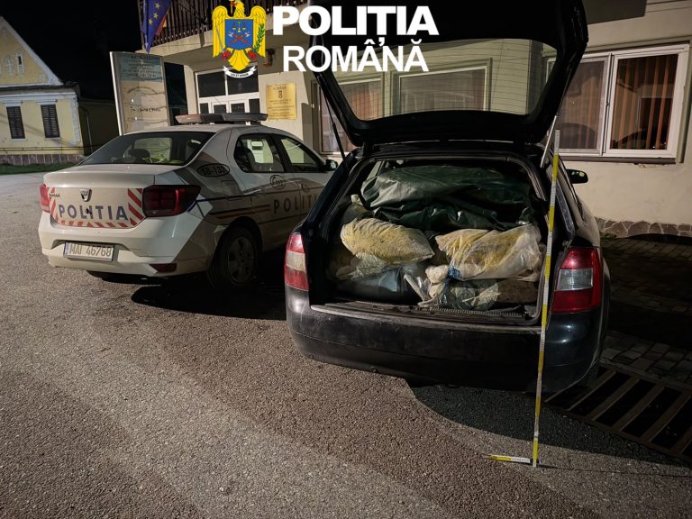 FOTO: Plase de pescuit cât să acopere 570 de metri, descoperite de polițiști pe Olt