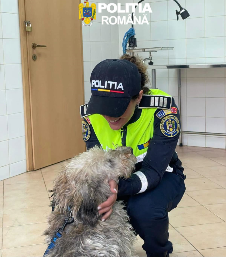 Iubitorii de animale, invitați la o întâlnire specială în Sibiu. Ce pregătesc polițiștii