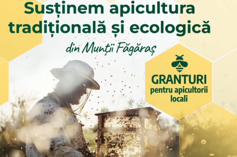 Granturi de 4.000 de euro pentru apicultorii din zona Munților Făgăraș